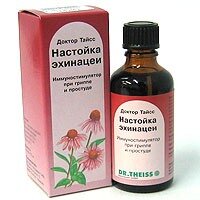 настойка эхинацеи